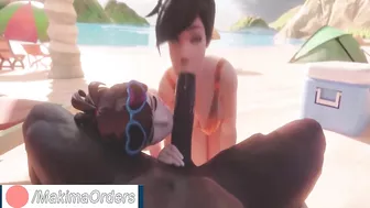 Tracer And D.Va at The Beach | MakimaOrders