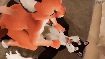 Furry Animation, Ride Him Hard