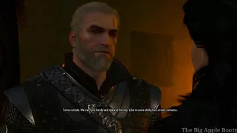 Geralt fucked Yennefer in the Ass happy ending Witcher 3