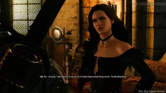 Geralt tore down a hole in Yennefer,s Ass Hard Witcher 3