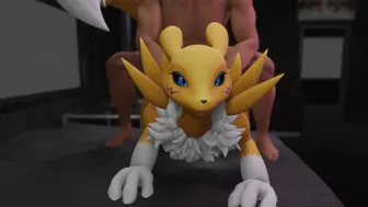 Furry porn with Renamon doing sex