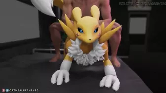 Furry porn with Renamon doing sex