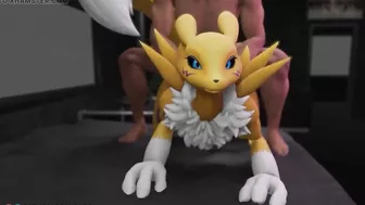 Furry porn with Renamon doing sex