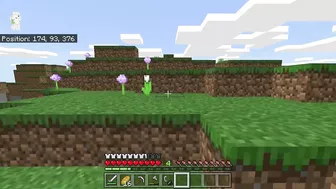 Minecraft Episode 4: OOPS