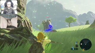 THE LEGEND OF ZELDA BREATH OF THE WILD NUDE EDITION COCK CAM GAMEPLAY #9