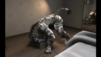 How Zebra enjoy by himself HD by h0rs3