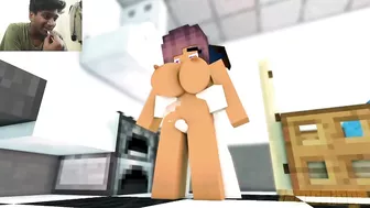 Minecraft Porn Animation Compilation Scenes