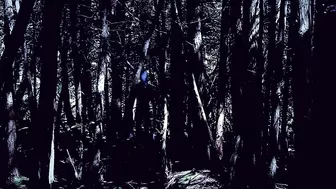 Free Stock Footage Forest Slenderman 3