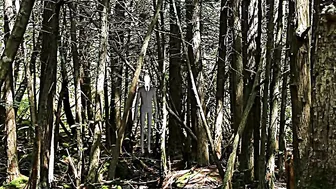 Free Stock Footage Forest Slenderman