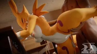 Renamon Getting Pounded Doggystyle Animation with Creampie (angle 2)