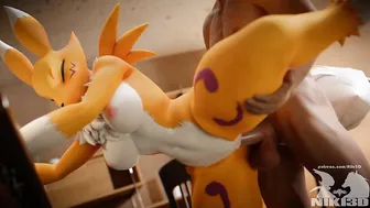 Renamon Getting Pounded Doggystyle Animation with Creampie (angle 2)