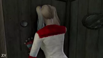 Harley Quinn's Gloryhole Adventure