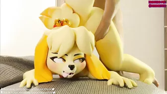 Furry yiff isabelle