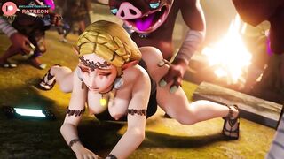 PRINCESS ZELDA PLAYING WITH NEW FRIENDS AND RECORD VIDEO FOR LINK