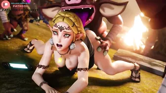 PRINCESS ZELDA PLAYING WITH NEW FRIENDS AND RECORD VIDEO FOR LINK