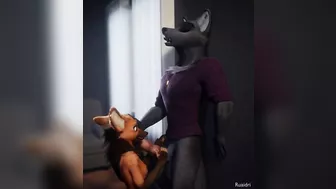 Furry Video P28