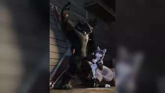 Furry Video P26