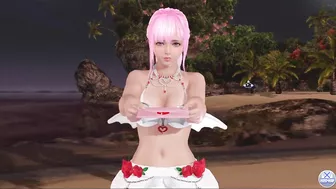 Dead or Alive Xtreme Venus Vacation Fiona Valentine's Day Pose Cards Fanservice Appreciation