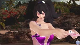 Dead or Alive Xtreme Venus Vacation Ayane Valentine's Day Pose Cards Fanservice Appreciation