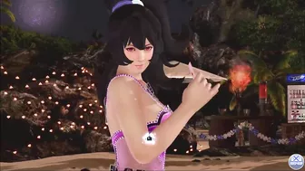 Dead or Alive Xtreme Venus Vacation Ayane Valentine's Day Pose Cards Fanservice Appreciation