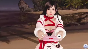 Dead or Alive Xtreme Venus Vacation Kokoro Valentine's Day Pose Cards Fanservice Appreciation