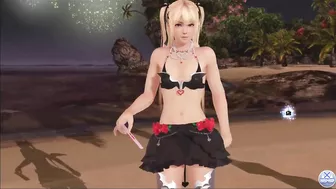 Dead or Alive Xtreme Venus Vacation Marie Rose Valentine's Day Pose Cards Fanservice Appreciation