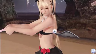 Dead or Alive Xtreme Venus Vacation Marie Rose Valentine's Day Pose Cards Fanservice Appreciation